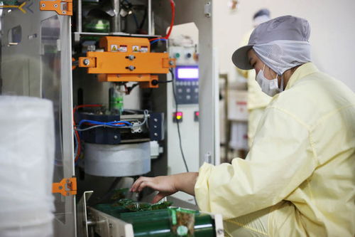 幾千噸話梅 瓜子已上線,杭州這家老牌食品廠想拼一下雙十一,你會(huì)去助力嗎